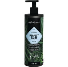 Lechuza Perfect Palm Flüssigdünger in einer 475 ml Flasche