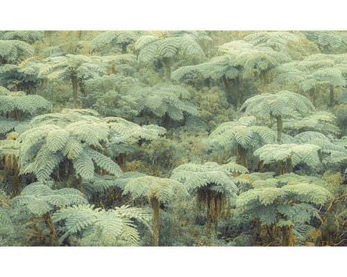 Fototapete Vlies PSH106-VD4 Jungle Lands 4-tlg. 400 x 250 cm