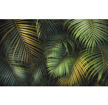 Nahaufnahme von grünen Palmwedeln