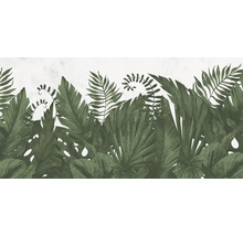 Illustration mit tropischen Pflanzen, darunter Farne und Bananenblätter