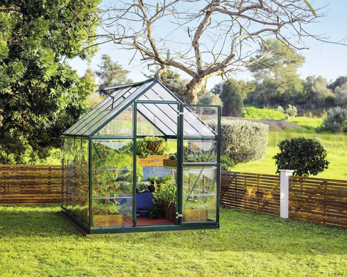 Gewächshaus mit Pflanzen im Garten