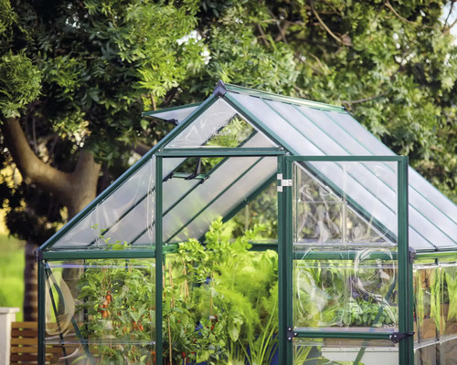 Gewächshaus mit Pflanzen im Garten