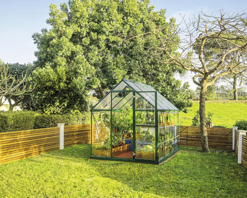 Gewächshaus im Garten mit Pflanzen