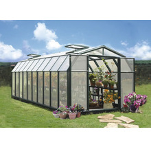 Gewächshaus mit Pflanzen im Garten