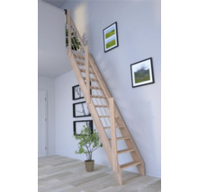 Raumszene mit einer Holztreppe, die in den oberen Stock führt, ergänzt durch Wandbilder und eine Zimmerpflanze.
