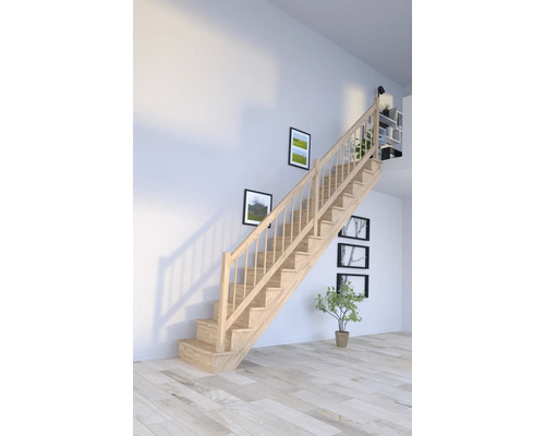 Holztreppe im hellen Raum mit Wanddekoration und Zimmerpflanze