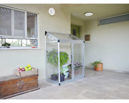 Gewächshaus mit Pflanzen auf einer Terrasse.