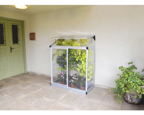 Kleingewächshaus mit Pflanzen auf einer Terrasse