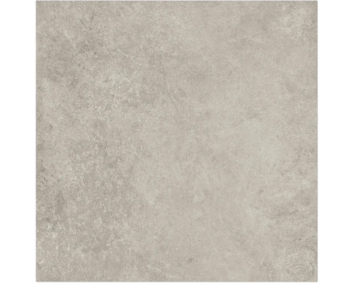Muster zu Fliese Montreal Silver lappato 300x250x8