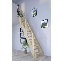 Holztreppe im Innenraum mit Wanddekoration und Pflanzen