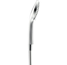 Handbrause aus Metall