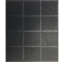 Kohlefilter C1RTK schwarz
