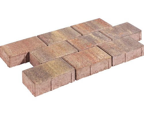 Rechteckpflaster Weinlaub 20 cm x 10 cm x 6 cm Verbundsteine aus Beton
