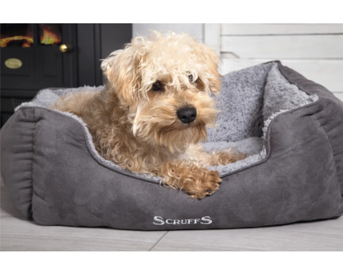 Hund liegt in einem grauen Scruffs Hundebett.