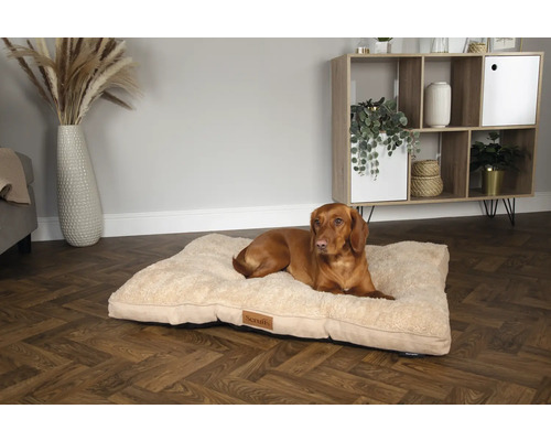 Hund liegt auf einem beigen Hundebett im Innenraum.