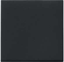 Schwarze Keramikfliese