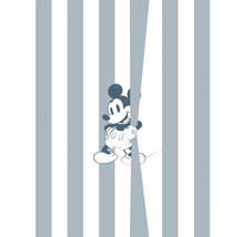 Tapete mit Streifen und Mickey Mouse Motiv