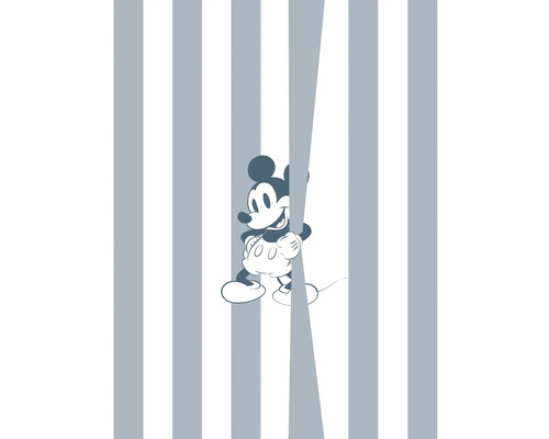 Fototapete Vlies 060-DVD2 Into Wonderland Mickey Offbeat 2-tlg. 200 x 250 cm