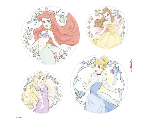 Window Sticker Princess Kindness 30 x 30 cm