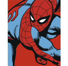 Illustration der Comicfigur Spider-Man