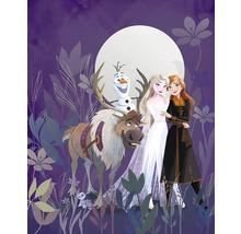 Fototapete Vlies IADX4-092 Into Wonderland Frozen Full 4-tlg. 200 x 250 cm
