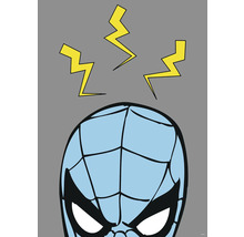 Illustration des Superhelden Spider-Man mit Blitzen