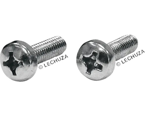 Zwei Metallschrauben mit unterschiedlichen Schraubenköpfen