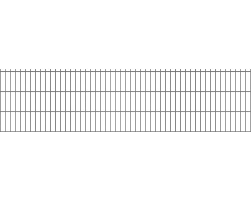 Doppelstabmatte Typ 8/6/8 251 x 63 cm RAL 7016 anthrazit