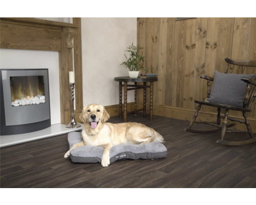 Golden Retriever liegt auf einem grauen Hundebett in einem Wohnzimmer mit Kamin