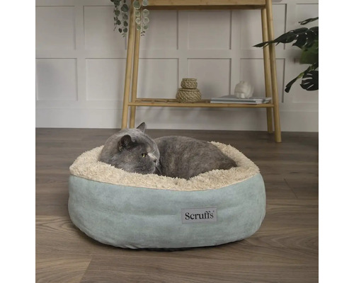 Graue Katze liegt in einem runden, weichen Katzenbett der Marke Scruffs