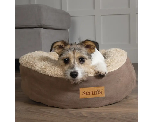 Hund liegt in einem runden Hundebett der Marke Scruffs.
