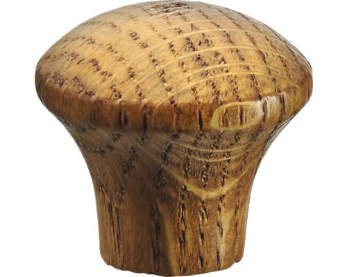 Möbelknopf aus Holz
