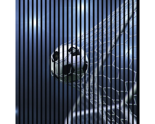 Akustikpaneel digital bedruckt Soccer 2 1195 x 1133 x 19 mm Set = 2 Einzelpaneele