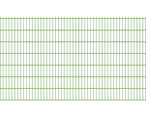 Doppelstabmatte Typ 8/6/8 251 x 143 cm RAL 6005 moosgrün