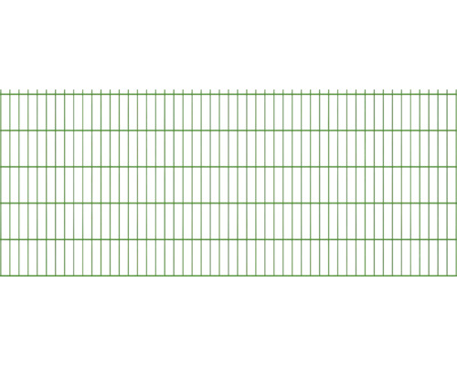 Doppelstabmatte Typ 8/6/8 251 x 103 cm RAL 6005 moosgrün