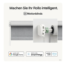 Motionblinds Logo: Intelligentes Rollo mit Google Home, SmartThings und Alexa kompatibel.