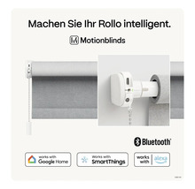 Motionblinds Rollo mit Bluetooth, kompatibel mit Google Home, SmartThings und Alexa