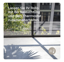 Rollo, Beleuchtung und Thermostat arbeiten zusammen