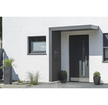 Moderne Hausfassade mit Haustür, Fenster und Pflanzenkübeln