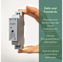 Eine Person hält einen grauen Frientschalter in der Hand. Der Schalter ist für die Montage auf einer Hutschiene vorgesehen und hat einen Eingang von 230 Volt und 16 Ampere.