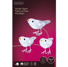 Dekorative Acrylfiguren als Vogel-Set mit LED-Beleuchtung für den Innenbereich