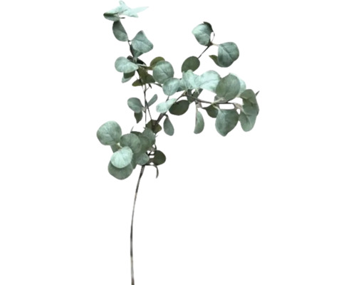 Eukalyptus Kunstpflanze mit runden Blättern