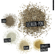Abbildung verschiedener Pflanzsubstrate: Lava, Lechuza-Pon, Zeolith, Bims und Langzeitdünger.