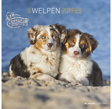 Welpenkalender 2025 mit zwei Welpen