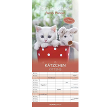 Familienplaner 2025 mit Katzenmotiv und Kalendarium