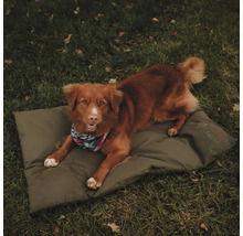 Hundematte District 70 LodgeCrate Mat L Green ca. 93 x 62 x 6 cm Hundeschlafplatz Polyester, wasserabweisend, Bezug waschbar