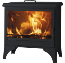 Kaminofen mit Feuer hinter Glas