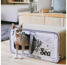 Katze in einem Katzenhaus in Form einer Fischkonservendose