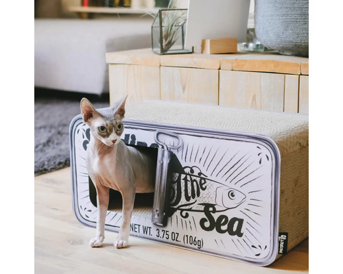 Katze in einem Katzenhaus in Form einer Fischkonservendose