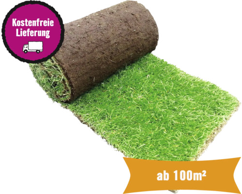 Rollrasen Sport & Spiel Bestellmenge ab 100 m² tagesfrisch geschält, strapazierfähig, schnelle Regeneration, für sonnige bis halbschattige Lage, ideal für Familien Eine Rolle Rollrasen